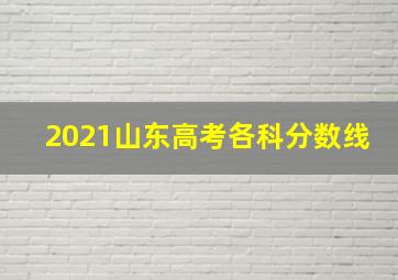 2021山东高考各科分数线