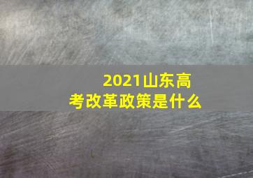 2021山东高考改革政策是什么