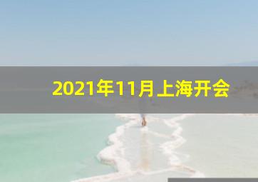 2021年11月上海开会