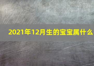 2021年12月生的宝宝属什么