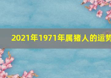 2021年1971年属猪人的运势