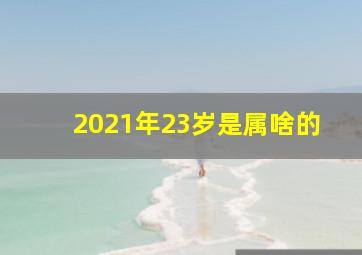 2021年23岁是属啥的