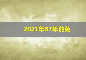 2021年87年的兔