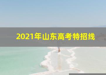 2021年山东高考特招线