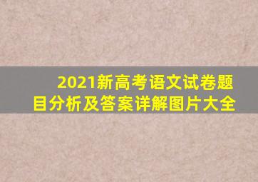 2021新高考语文试卷题目分析及答案详解图片大全