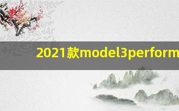 2021款model3performance