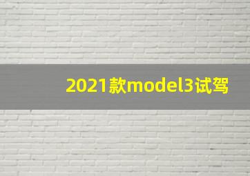 2021款model3试驾