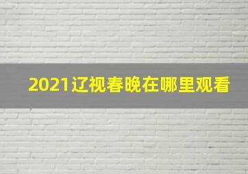 2021辽视春晚在哪里观看