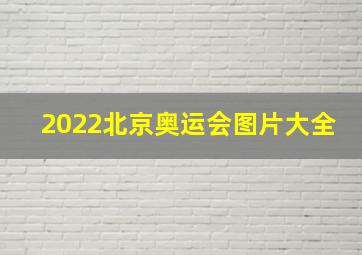 2022北京奥运会图片大全