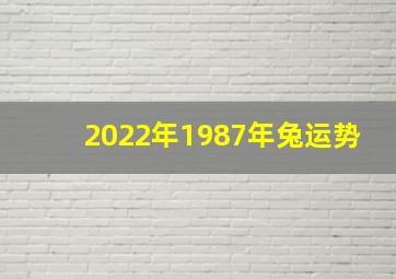 2022年1987年兔运势