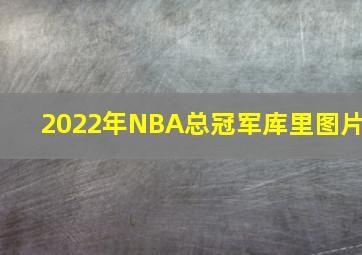 2022年NBA总冠军库里图片