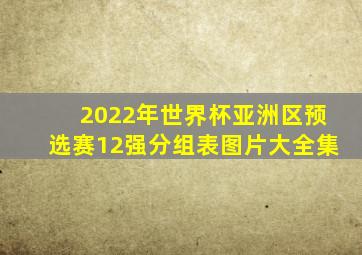 2022年世界杯亚洲区预选赛12强分组表图片大全集