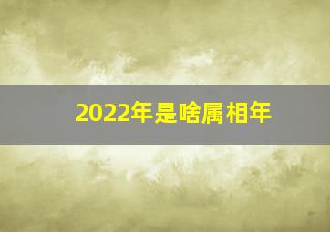 2022年是啥属相年