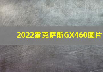 2022雷克萨斯GX460图片