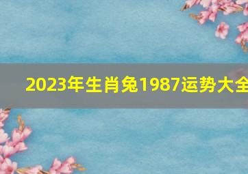 2023年生肖兔1987运势大全