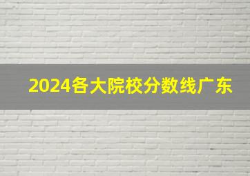 2024各大院校分数线广东