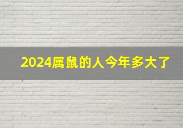 2024属鼠的人今年多大了