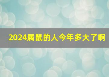 2024属鼠的人今年多大了啊