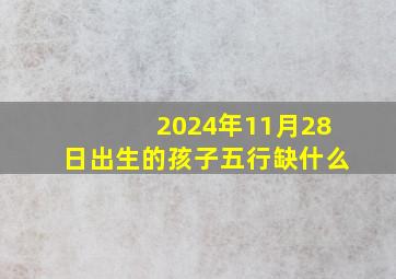 2024年11月28日出生的孩子五行缺什么