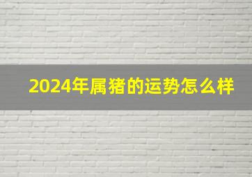 2024年属猪的运势怎么样