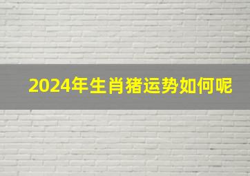 2024年生肖猪运势如何呢