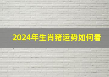 2024年生肖猪运势如何看