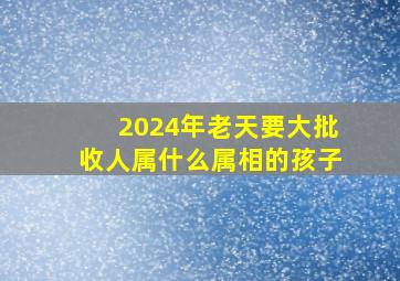 2024年老天要大批收人属什么属相的孩子