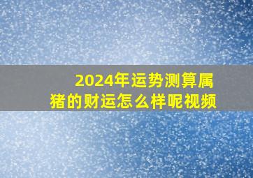 2024年运势测算属猪的财运怎么样呢视频