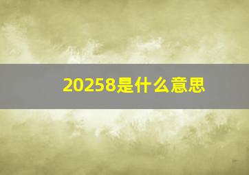 20258是什么意思