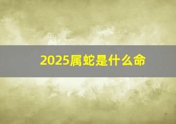 2025属蛇是什么命