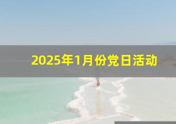 2025年1月份党日活动