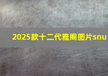 2025款十二代雅阁图片snu