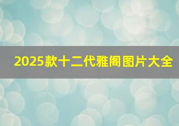 2025款十二代雅阁图片大全