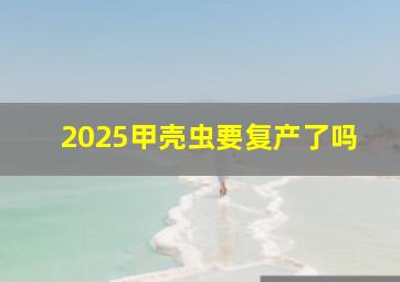 2025甲壳虫要复产了吗