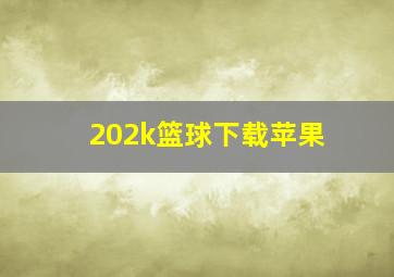 202k篮球下载苹果