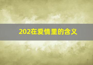 202在爱情里的含义