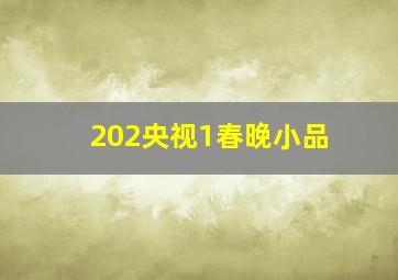 202央视1春晚小品