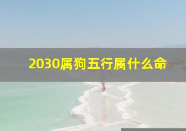 2030属狗五行属什么命