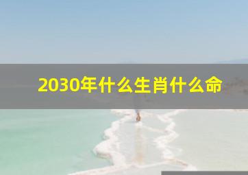 2030年什么生肖什么命