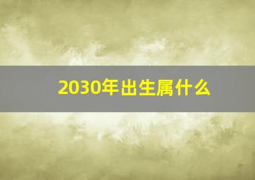 2030年出生属什么