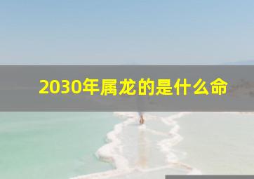 2030年属龙的是什么命