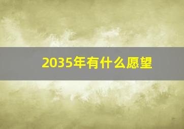 2035年有什么愿望