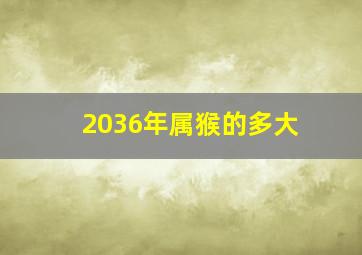 2036年属猴的多大