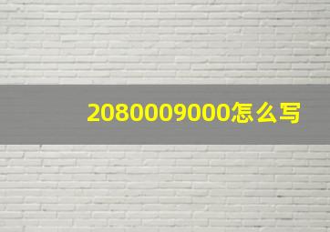 2080009000怎么写