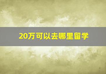 20万可以去哪里留学