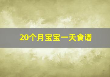 20个月宝宝一天食谱