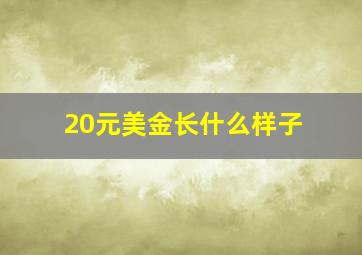 20元美金长什么样子