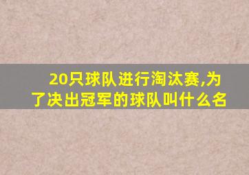 20只球队进行淘汰赛,为了决出冠军的球队叫什么名