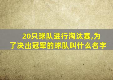 20只球队进行淘汰赛,为了决出冠军的球队叫什么名字