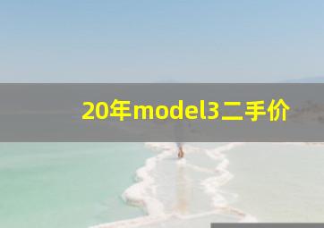 20年model3二手价